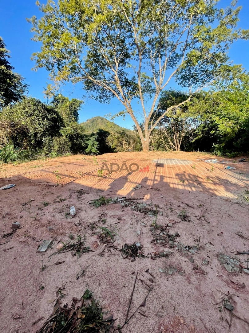 Mídia principal