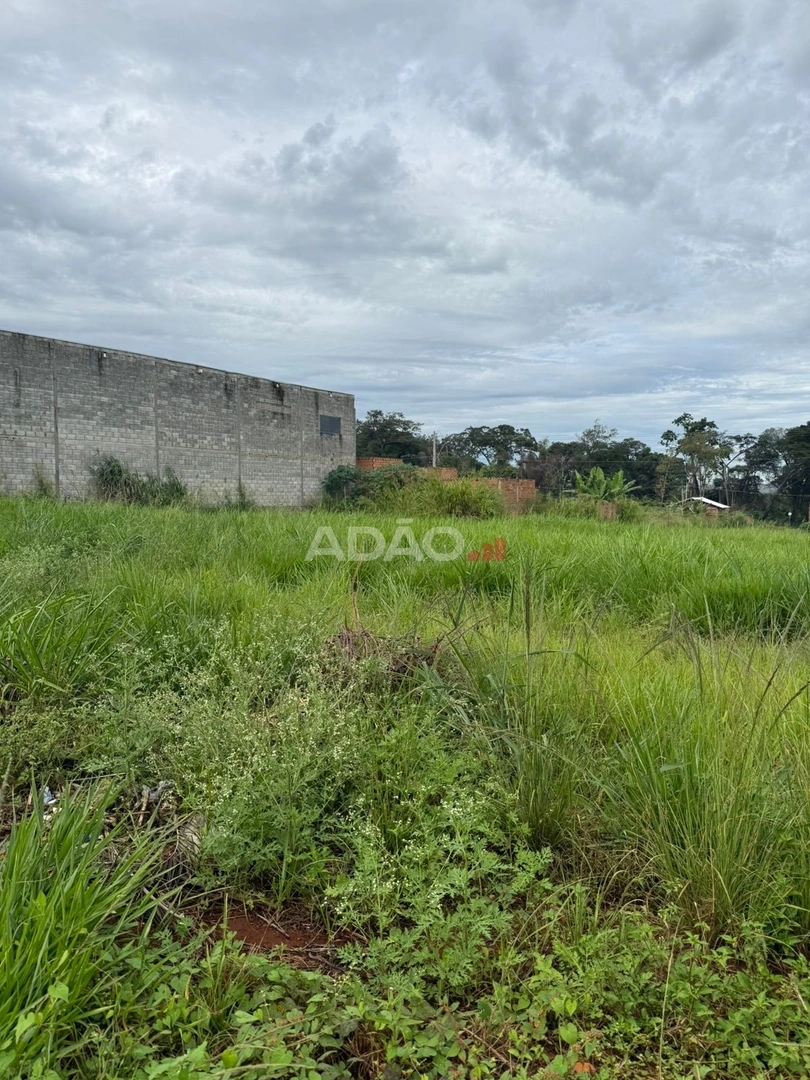 Mídia 4