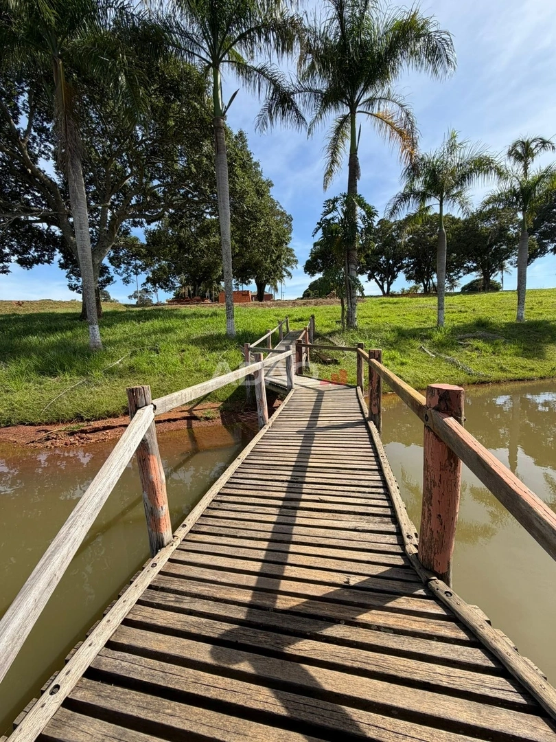 Mídia 4