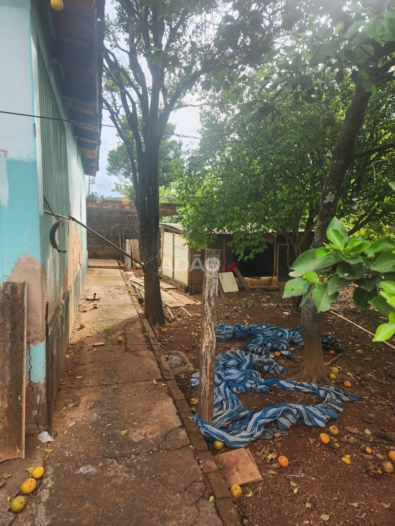 Mídia 3