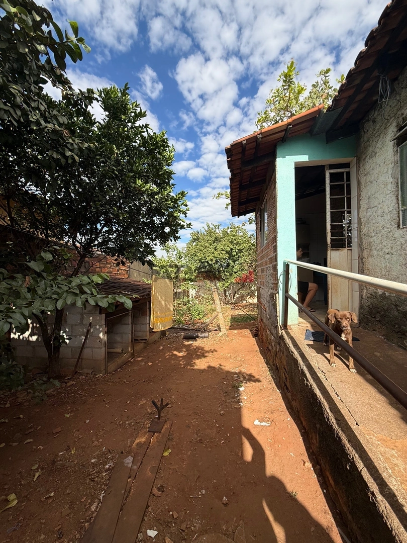 Mídia 5