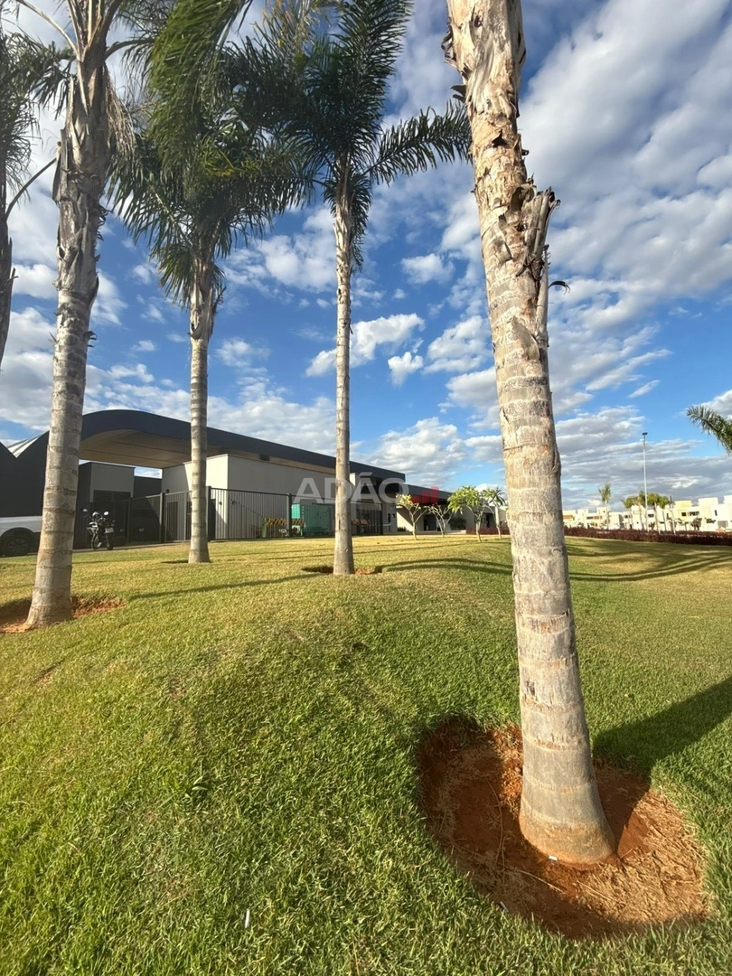 Mídia principal