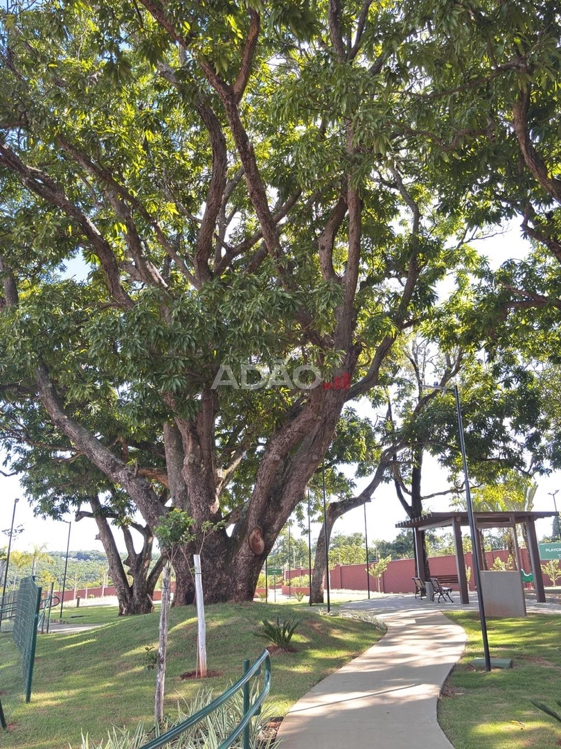 Mídia 5
