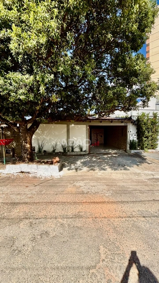 Mídia principal