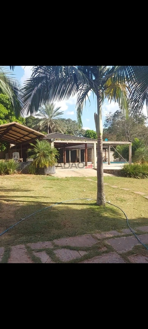 Mídia 4