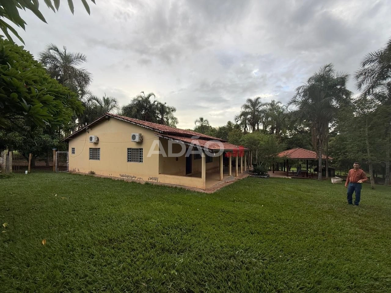 Mídia principal