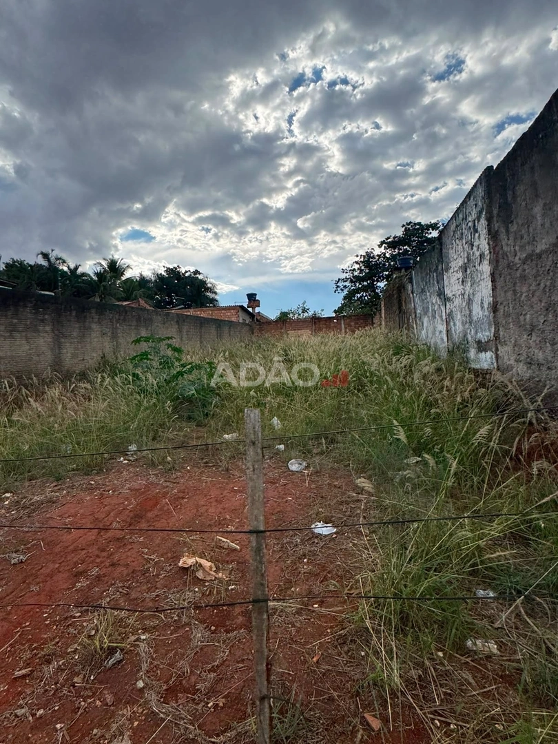 Mídia 5
