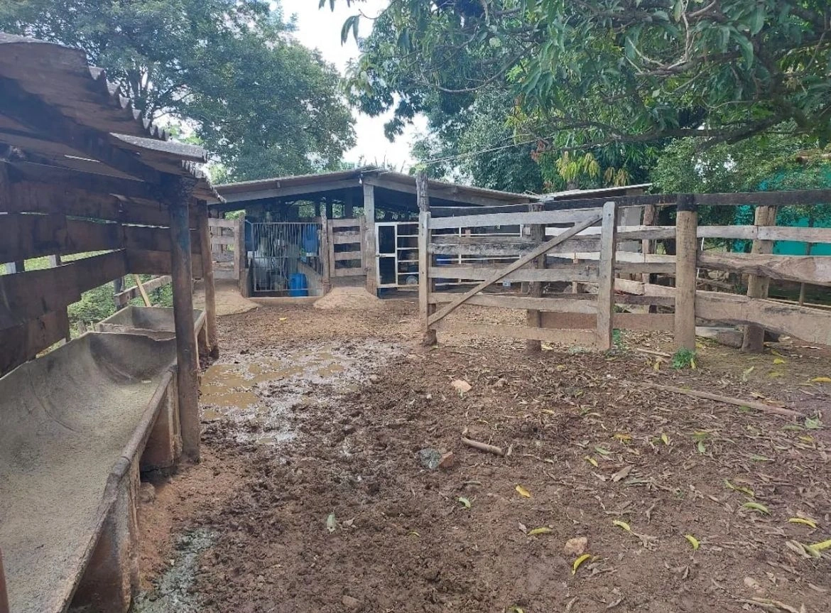 Mídia 2