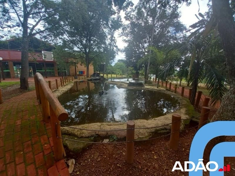 Mídia 5