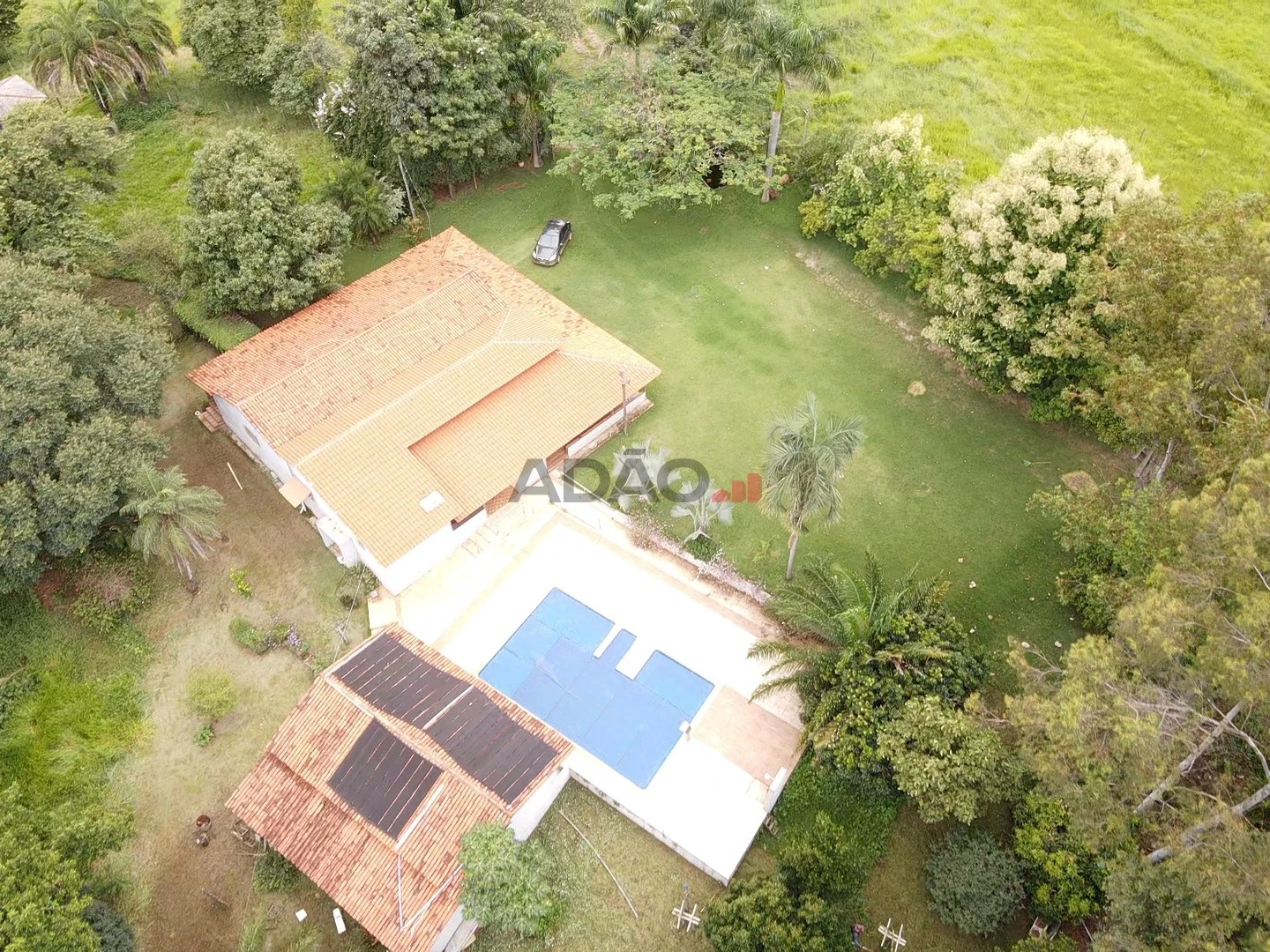 Mídia principal